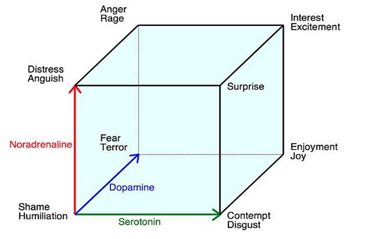 Bildergebnis für Lövheim cube of emotion
